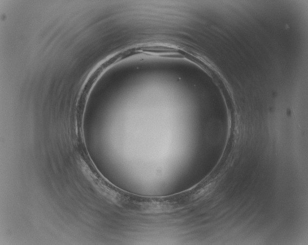 X0000052940980200507081140