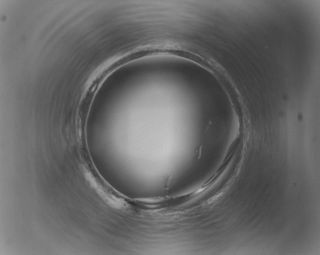 X0000052940981200507081140