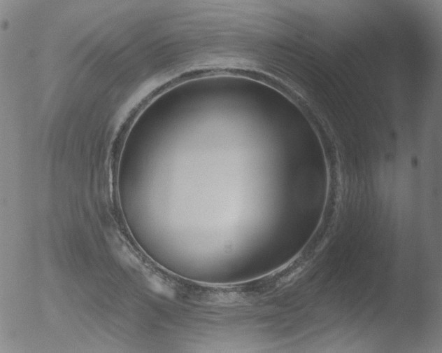 X0000052940982200507081140