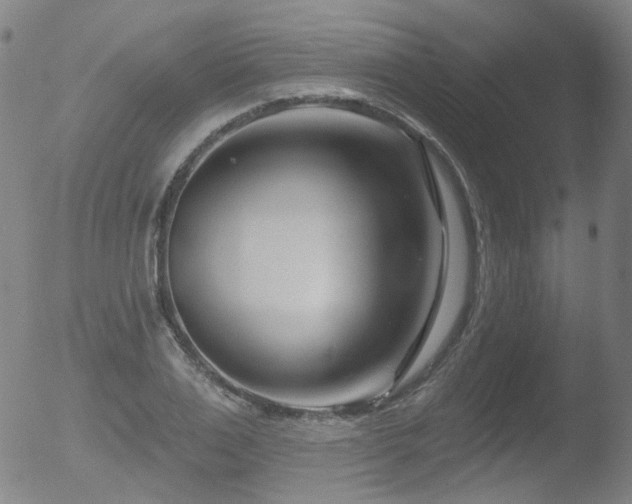 X0000052940983200507081140