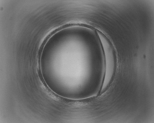 X0000052940984200507081140