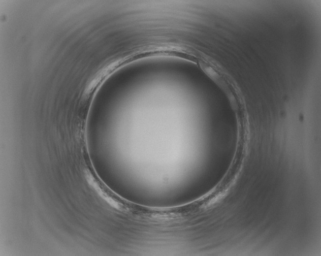 X0000052940985200507081140