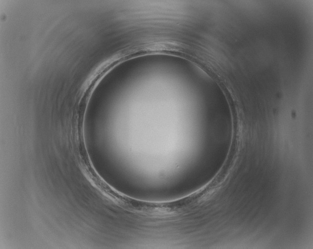 X0000052940986200507081139