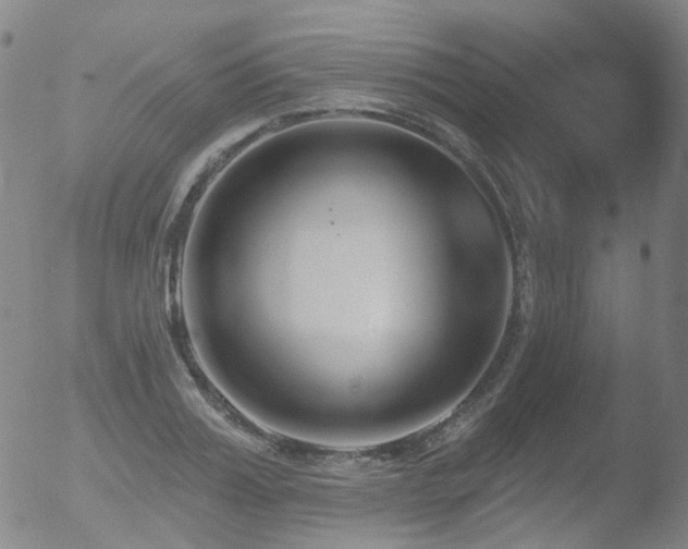 X0000052940987200507081139