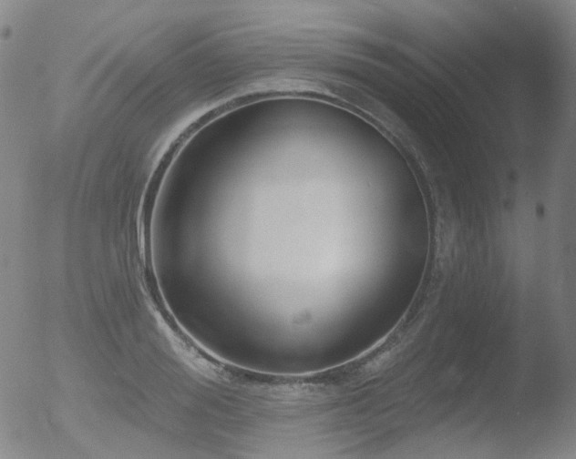 X0000052940988200507081139