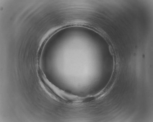 X0000052940989200507081139