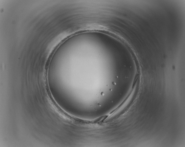 X0000052940990200507081139