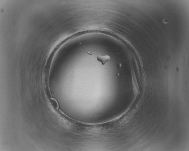 X0000052940991200507081139