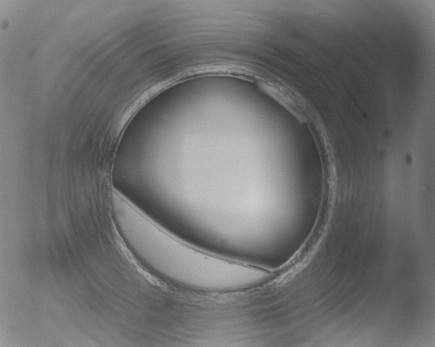 X0000052940993200507081139