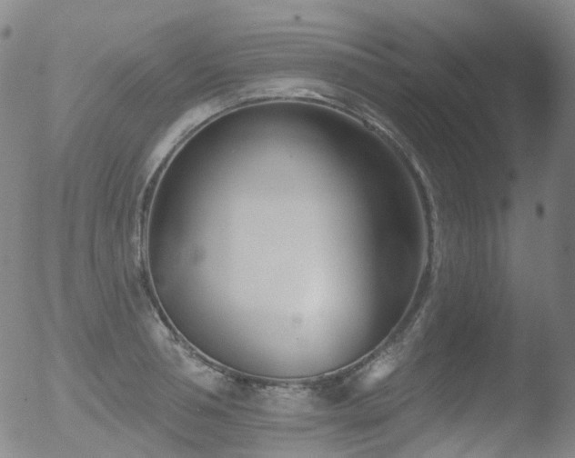 X0000052940994200507081139