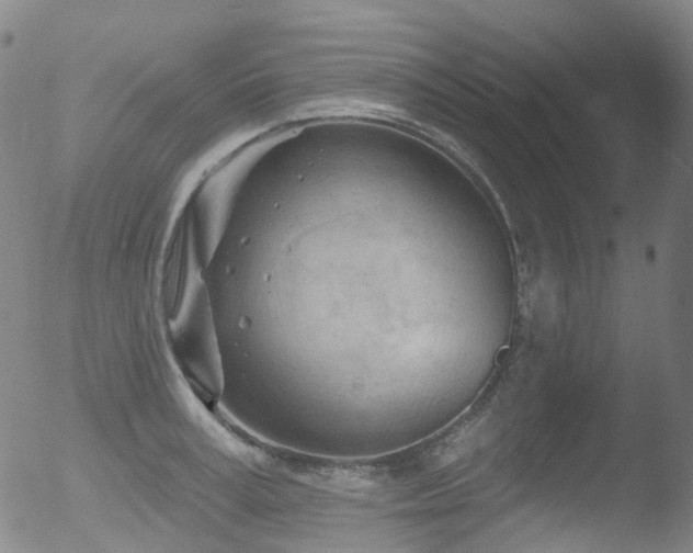 X0000052940995200507081139