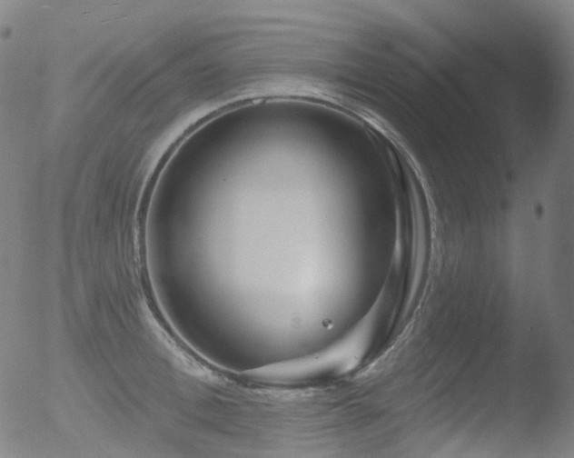 X0000052940996200507081139