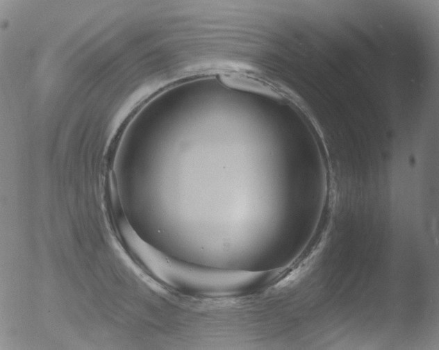 X0000052940997200507081139