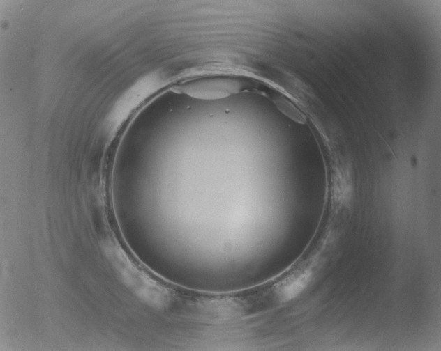 X0000052940998200507081139