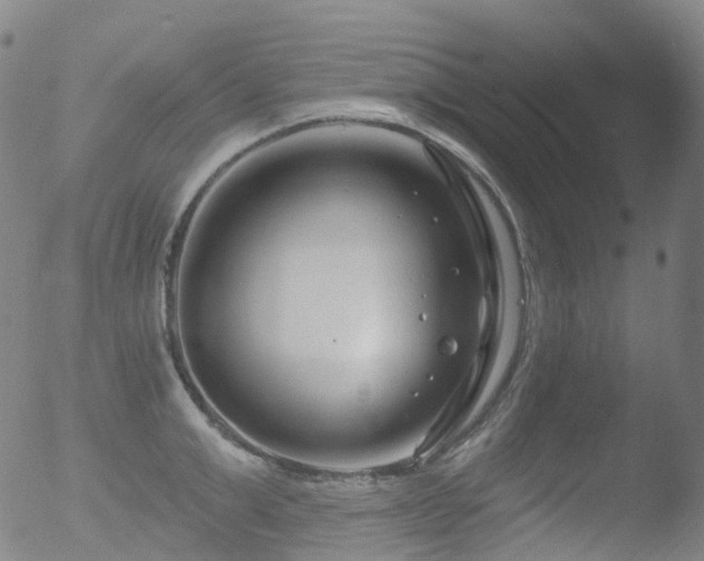 X0000052940999200507081139