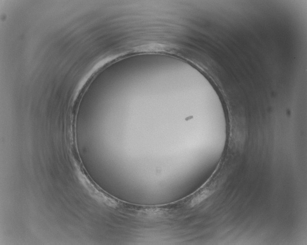 X0000052941000200507081139