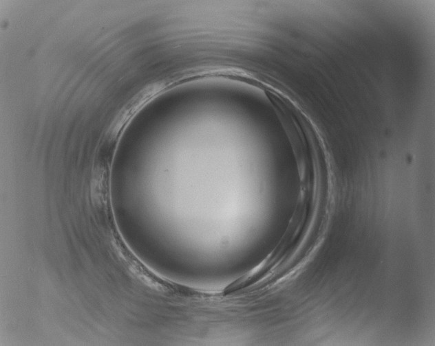 X0000052941001200507081139