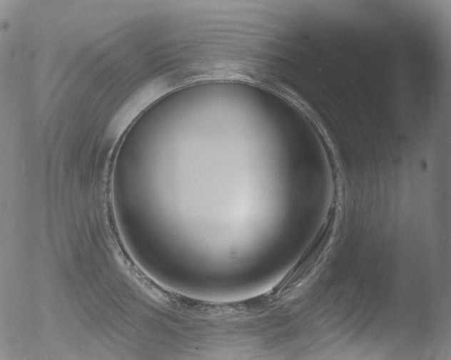 X0000052941002200507081139