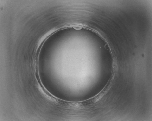 X0000052941003200507081139