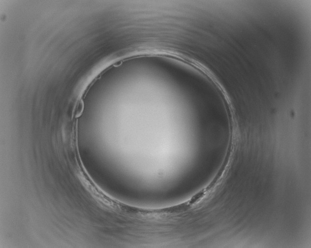 X0000052941004200507081139