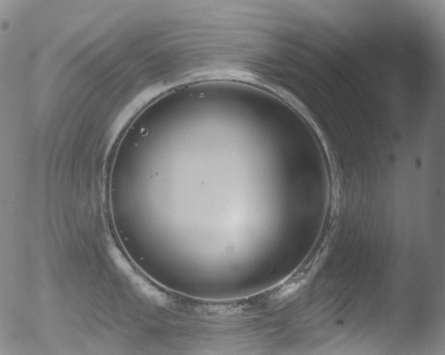 X0000052941005200507081139