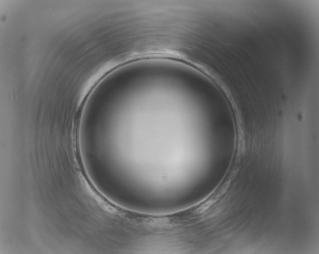 X0000052941006200507081139