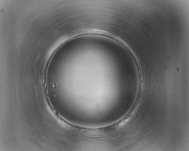 X0000052941007200507081139