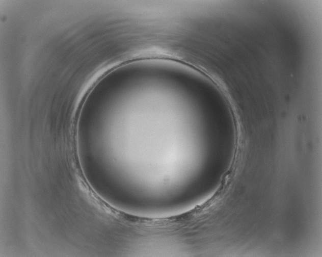 X0000052941008200507081139