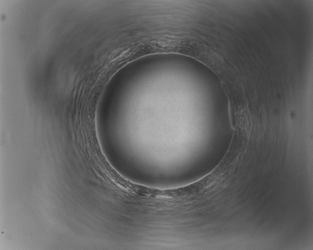 X0000052941009200507081138