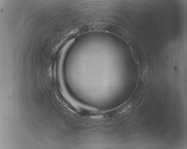 X0000052941010200507081138