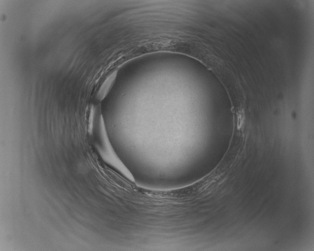 X0000052941011200507081138