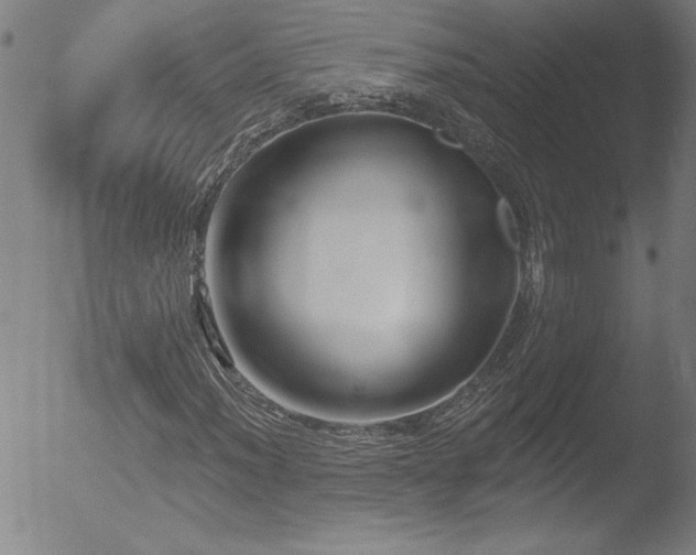 X0000052941012200507081138