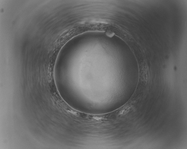 X0000052941013200507081138