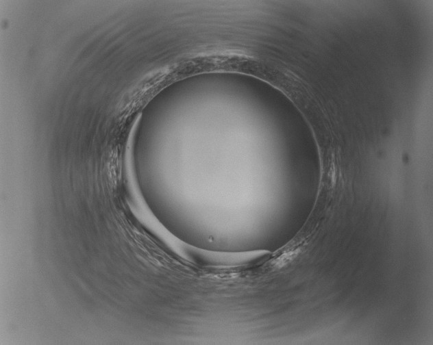 X0000052941014200507081138