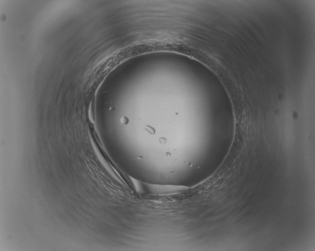 X0000052941015200507081138