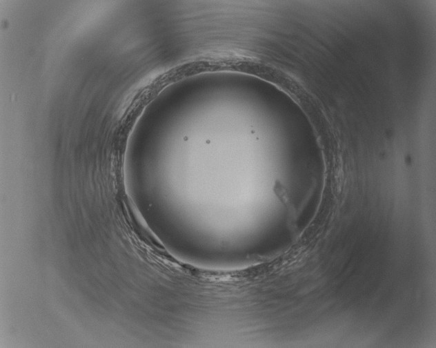 X0000052941016200507081138