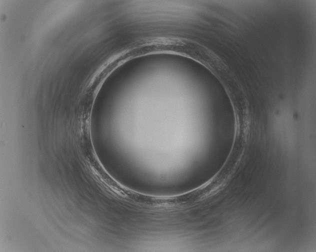 X0000052941017200507081138