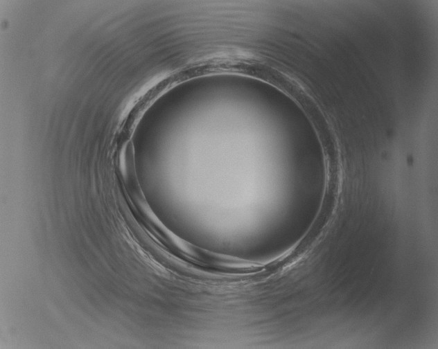 X0000052941018200507081138