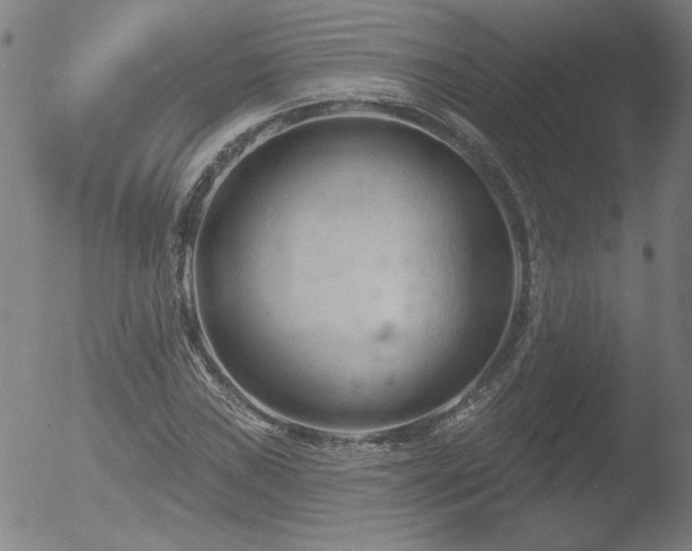 X0000052941019200507081138