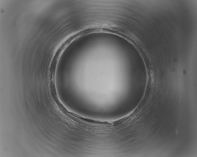 X0000052941020200507081139