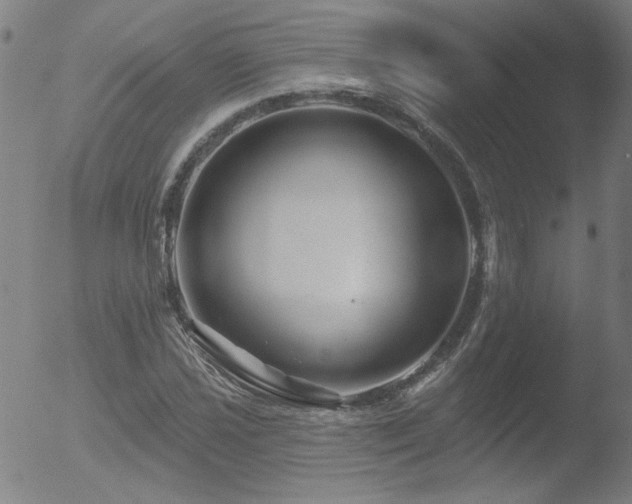 X0000052941021200507081139