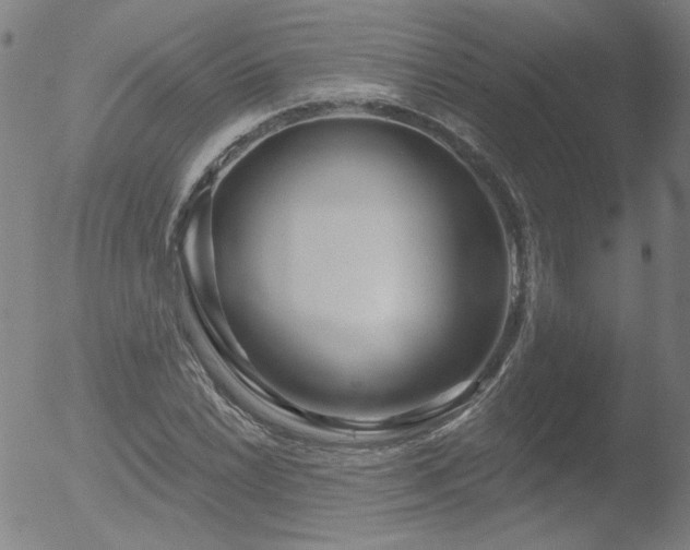 X0000052941022200507081139