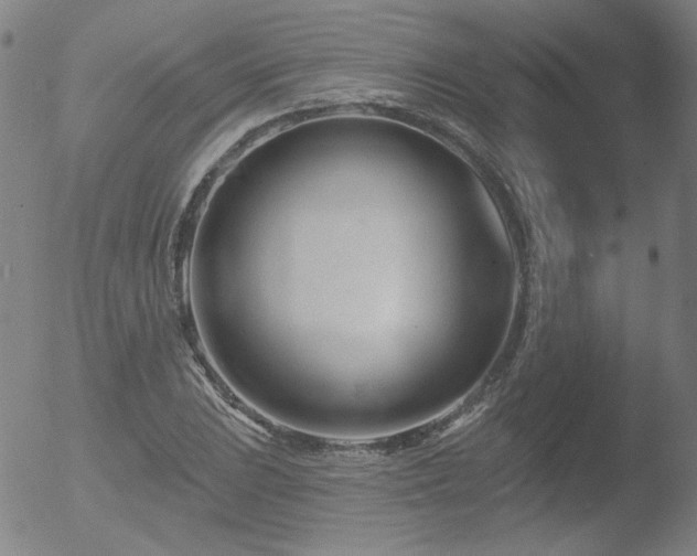 X0000052941023200507081139