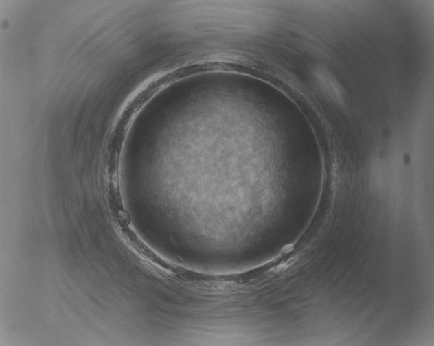 X0000052941024200507081139