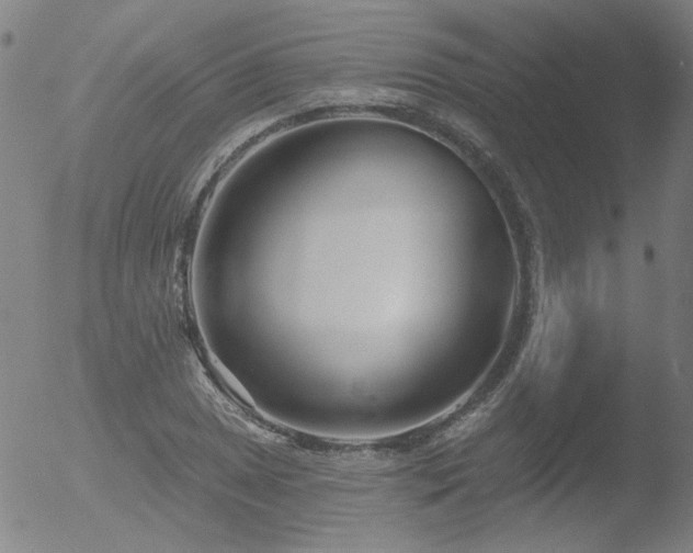 X0000052941025200507081139