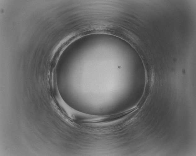 X0000052941026200507081139