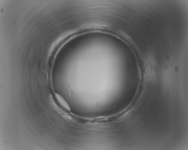 X0000052941027200507081139