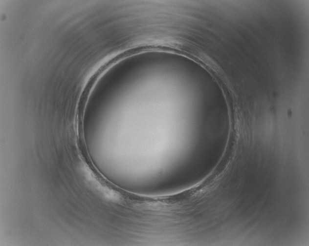 X0000052941028200507081139