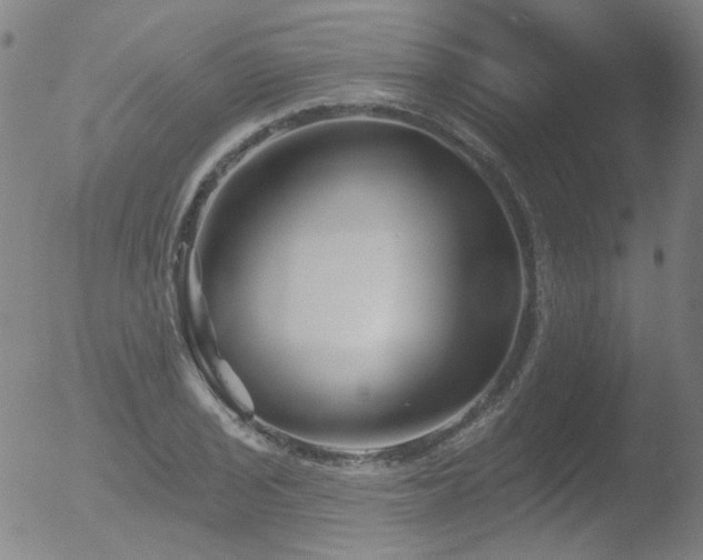 X0000052941029200507081139