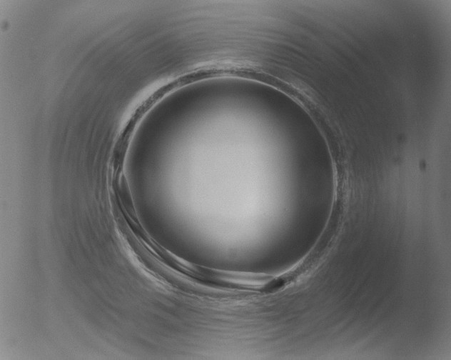 X0000052941030200507081139